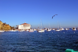 View of Avalon's iconic Casino building on Catalina Island